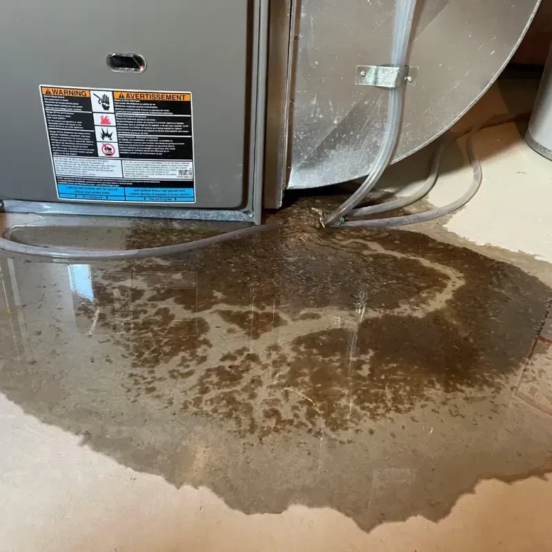 Appliance Leak Cleanup in Galena, IL